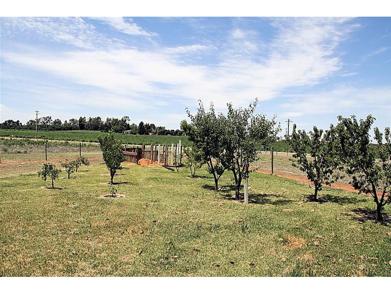 173 Dumosa Street, Red Cliffs VIC 3496