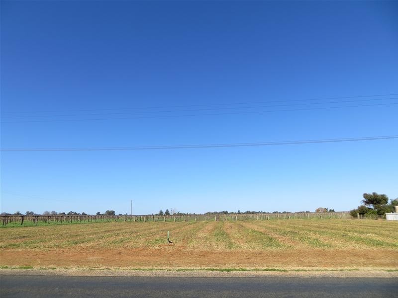 LOT 1 Karadoc Avenue, Irymple VIC 3498
