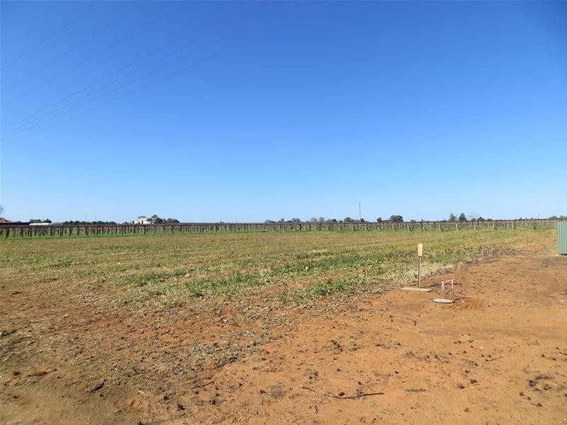 LOT 1 Karadoc Avenue, Irymple VIC 3498