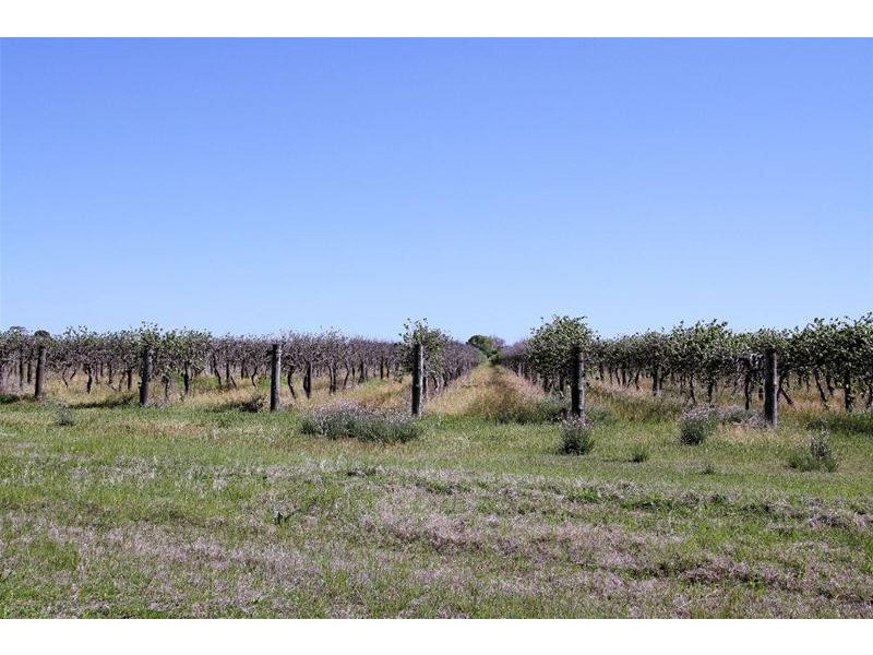 Blk 554 Boobook Avenue, Red Cliffs VIC 3496