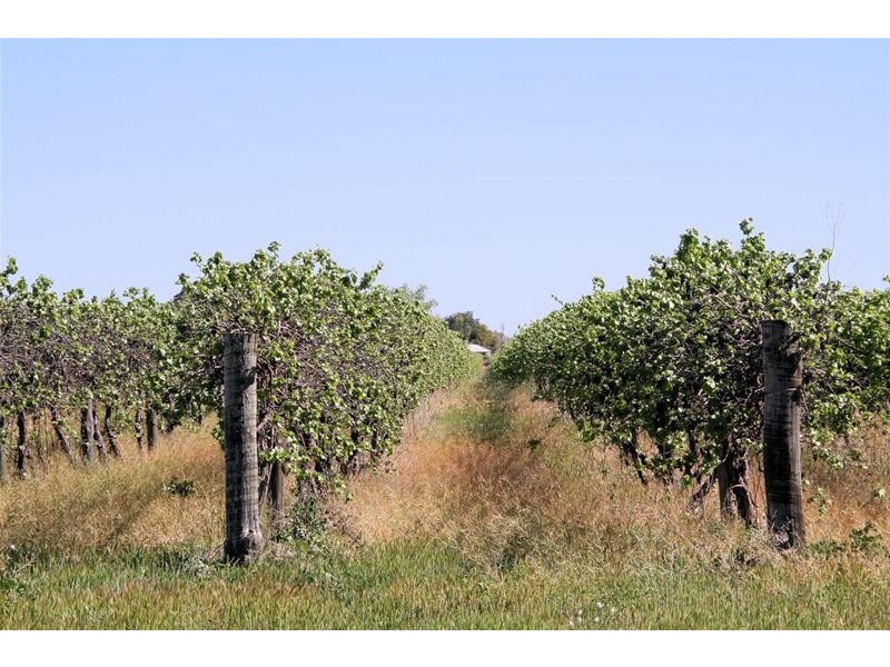 Blk 554 Boobook Avenue, Red Cliffs VIC 3496