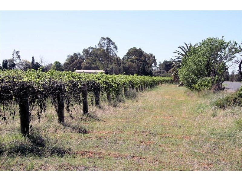 Blk 554 Boobook Avenue, Red Cliffs VIC 3496