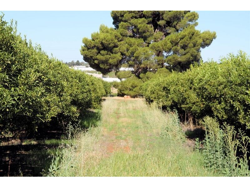 29a Coorong Avenue, Irymple VIC 3498