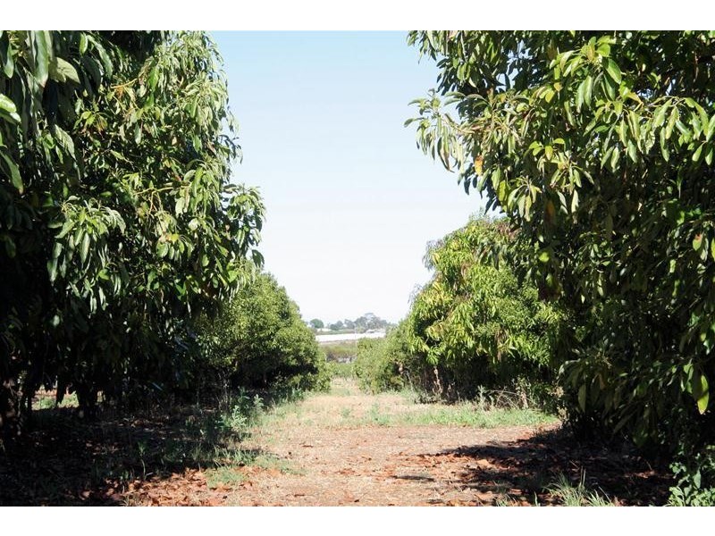 29a Coorong Avenue, Irymple VIC 3498