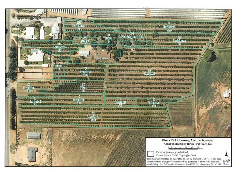 29a Coorong Avenue, Irymple VIC 3498