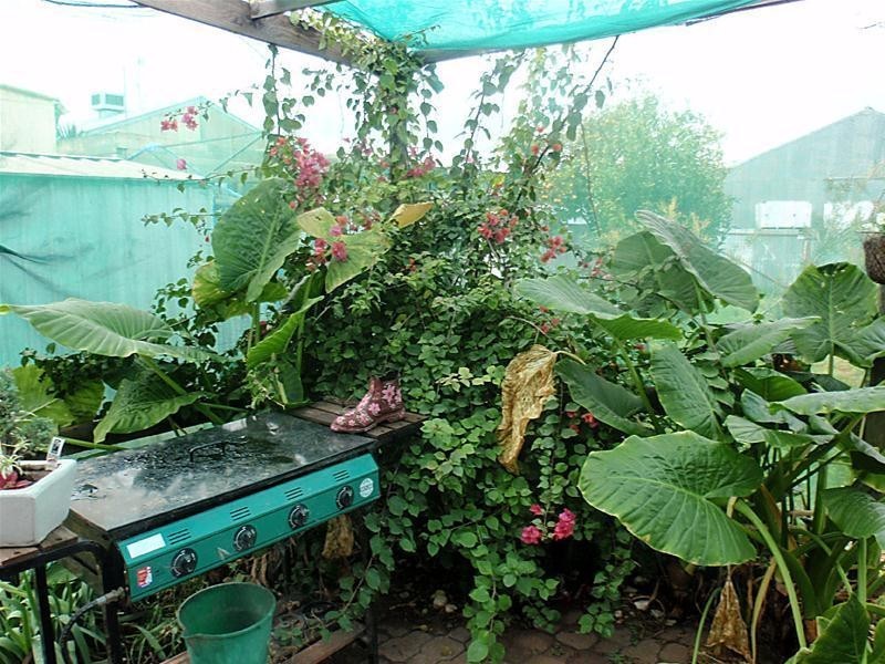 4 Pearl Avenue, Mildura VIC 3500