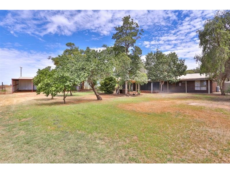 377 Paschendale Avenue, Merbein VIC 3505