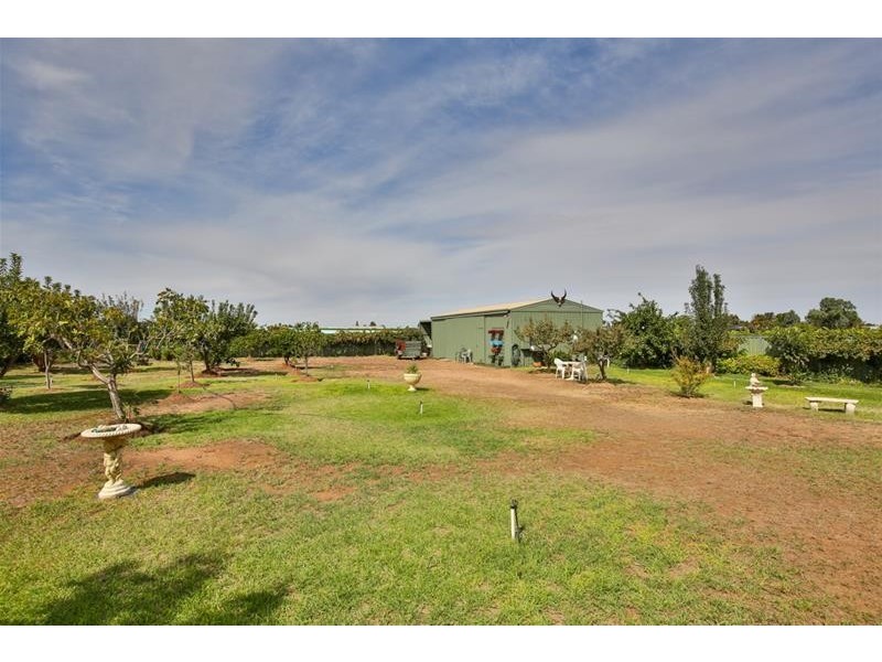 624 Irymple Avenue, Irymple VIC 3498