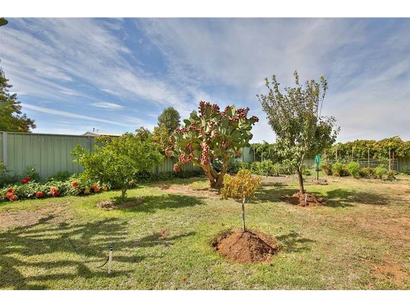 624 Irymple Avenue, Irymple VIC 3498
