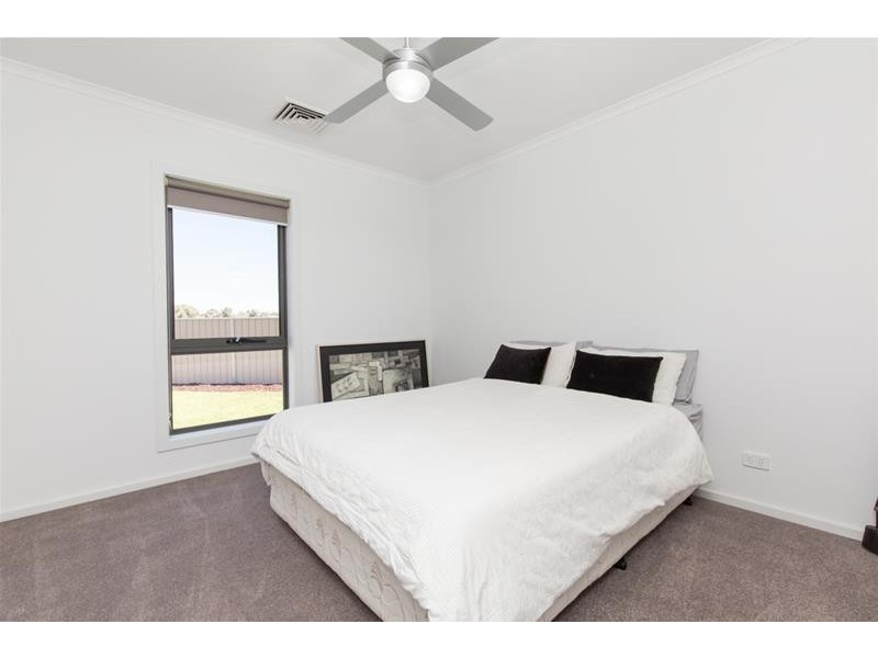 28 Anne Cox Drive, Red Cliffs VIC 3496