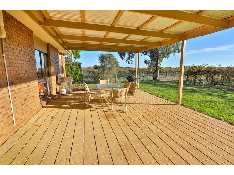 279 Gunya Road, Dareton NSW 2717