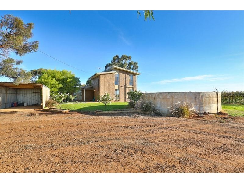 279 Gunya Road, Dareton NSW 2717