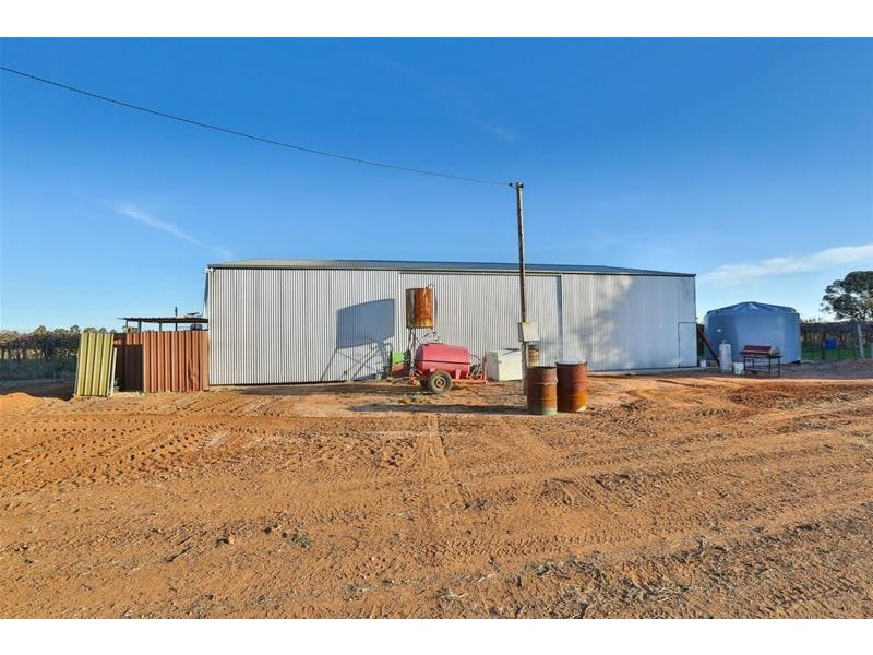 279 Gunya Road, Dareton NSW 2717