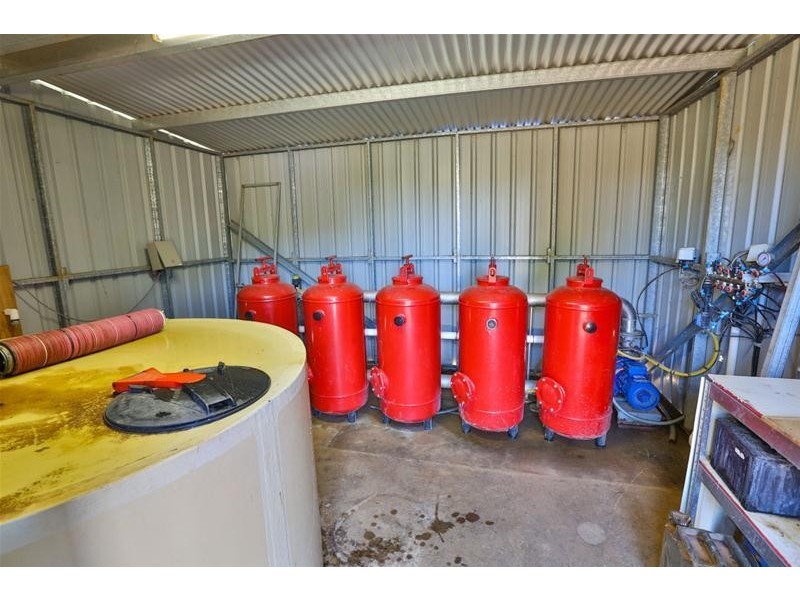 279 Gunya Road, Dareton NSW 2717