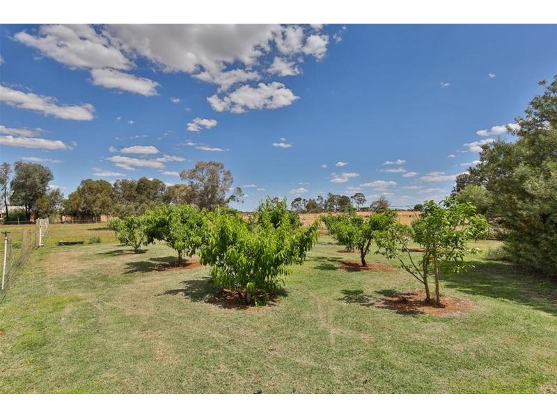 26 Konnung Avenue, Red Cliffs VIC 3496