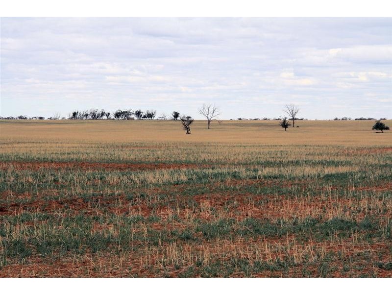 Lots 45 & 46 Simmons Road, Merrinee VIC 3496