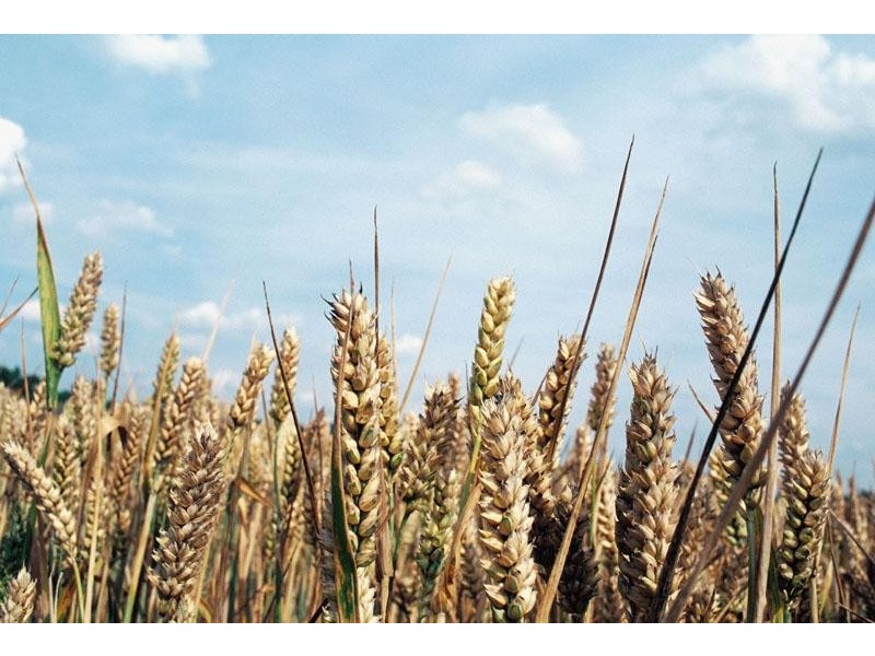 Lots 45 & 46 Simmons Road, Merrinee VIC 3496