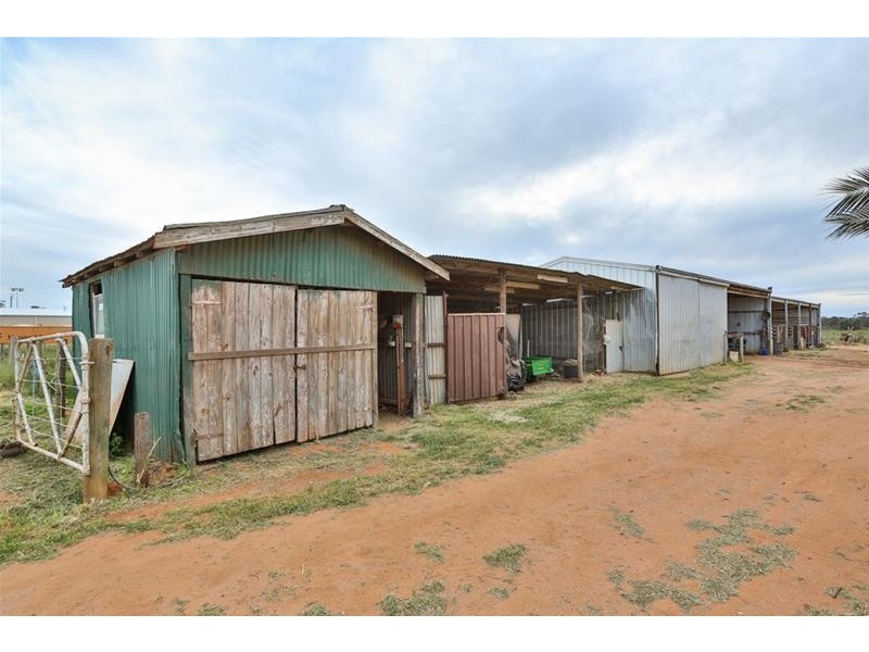 652 Pawson Avenue, Irymple VIC 3498