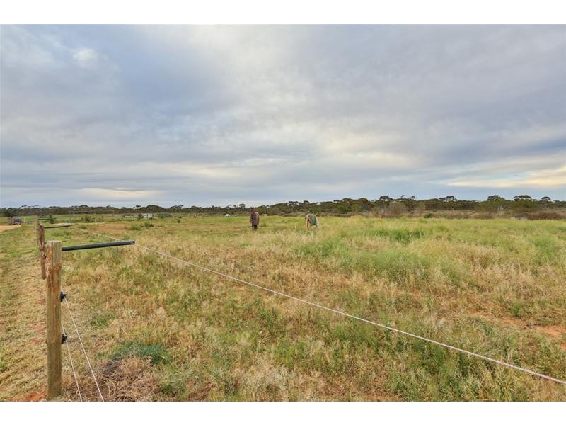 652 Pawson Avenue, Irymple VIC 3498