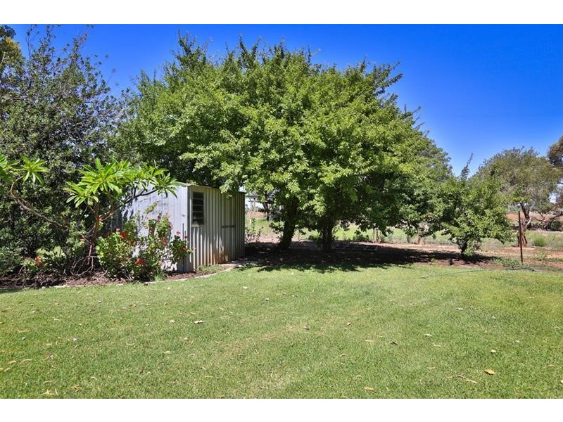 6 Dickies Road, Birdwoodton VIC 3505