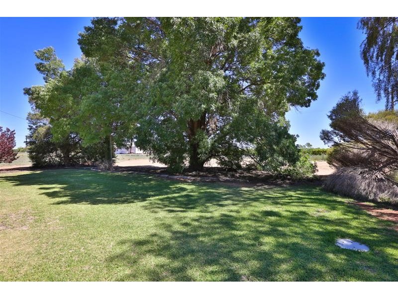 6 Dickies Road, Birdwoodton VIC 3505