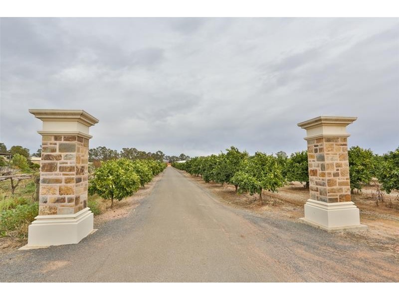 209 West Road, Buronga NSW 2739