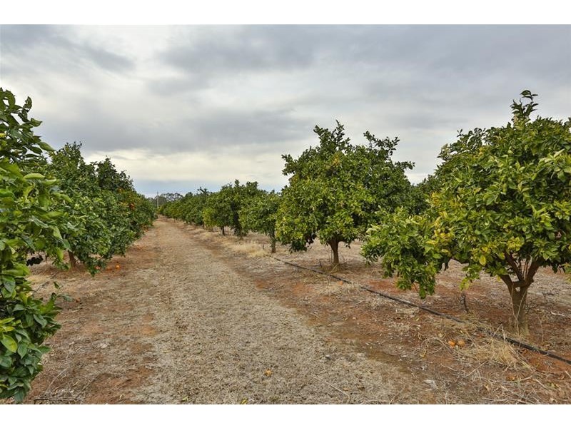 209 West Road, Buronga NSW 2739