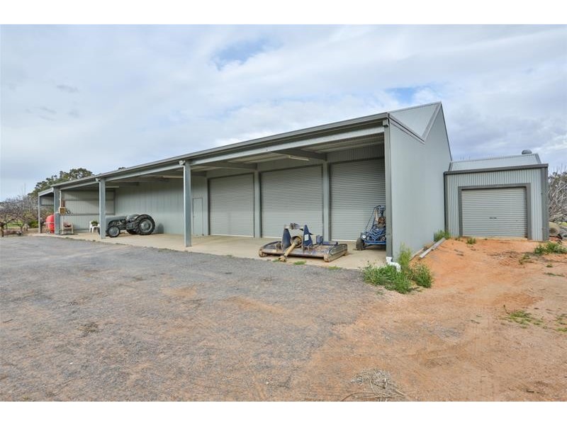209 West Road, Buronga NSW 2739