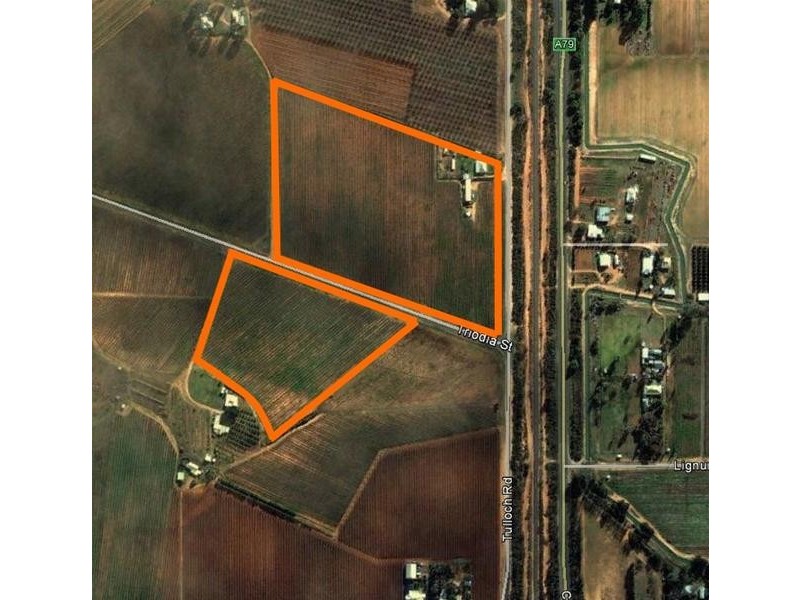 290 & 290a Tulloch Road, Red Cliffs VIC 3496