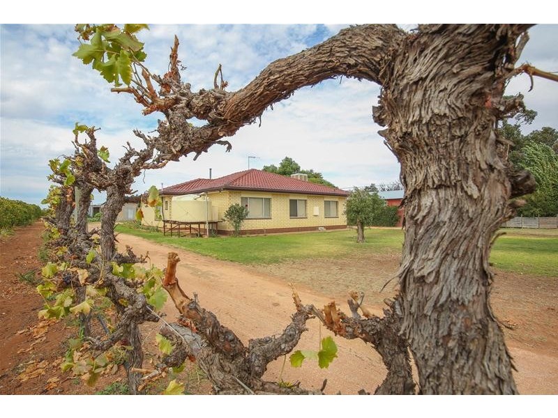 354 Gol Gol North Road, Gol Gol NSW 2738