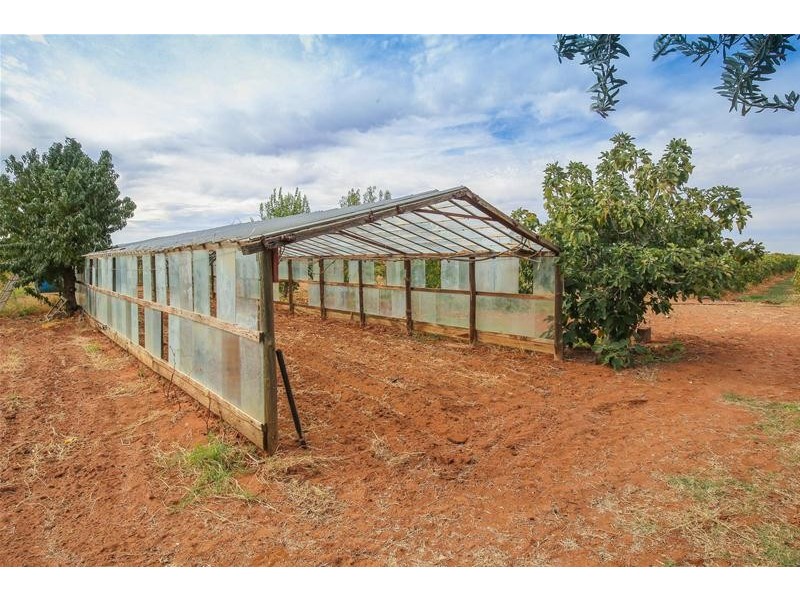 354 Gol Gol North Road, Gol Gol NSW 2738