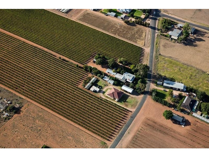 354 Gol Gol North Road, Gol Gol NSW 2738