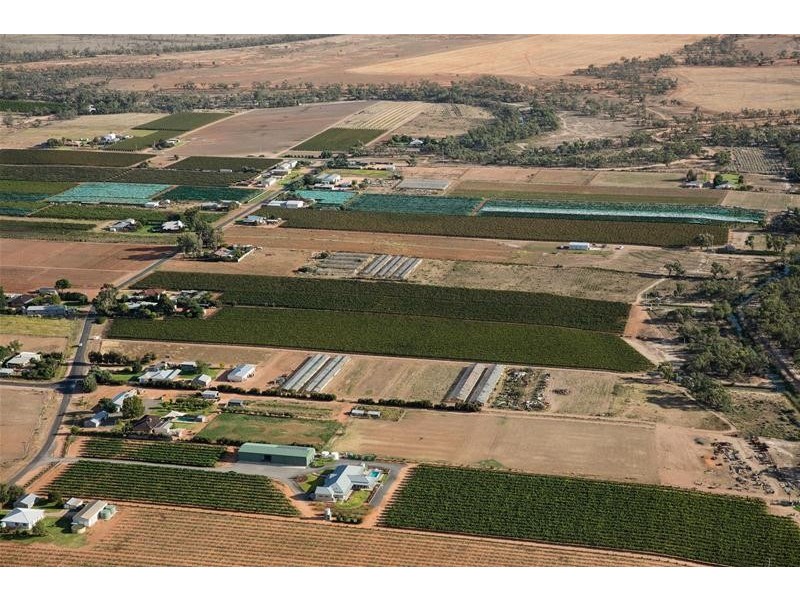 354 Gol Gol North Road, Gol Gol NSW 2738