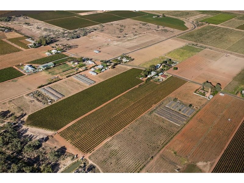 354 Gol Gol North Road, Gol Gol NSW 2738