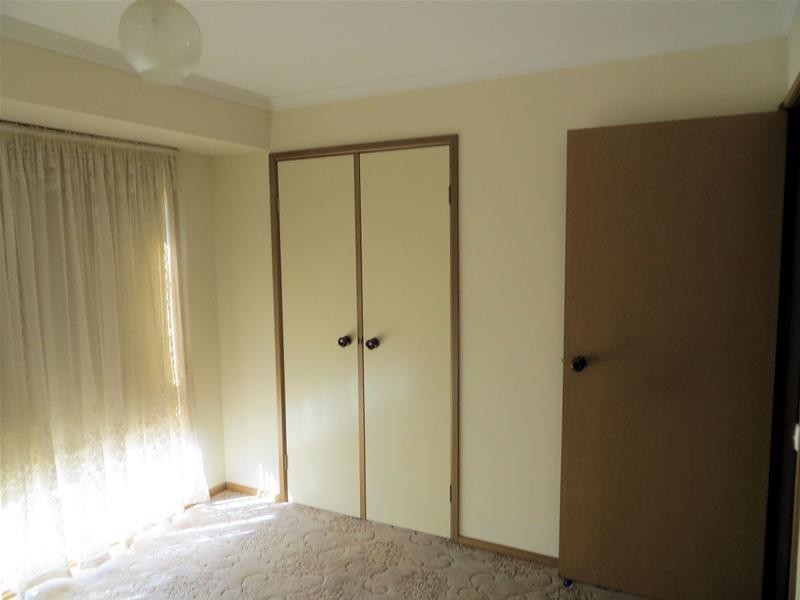 912 Karadoc Avenue, Irymple VIC 3498