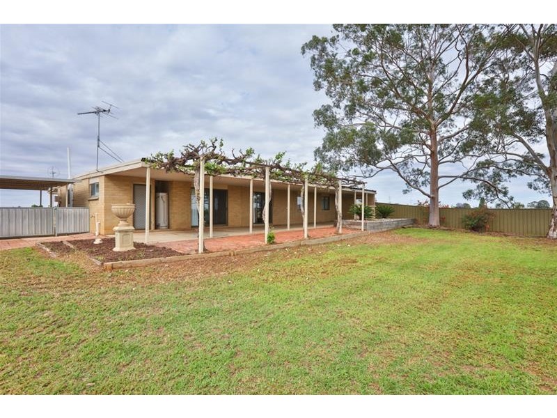 38 Kardinia Road, Dareton NSW 2717