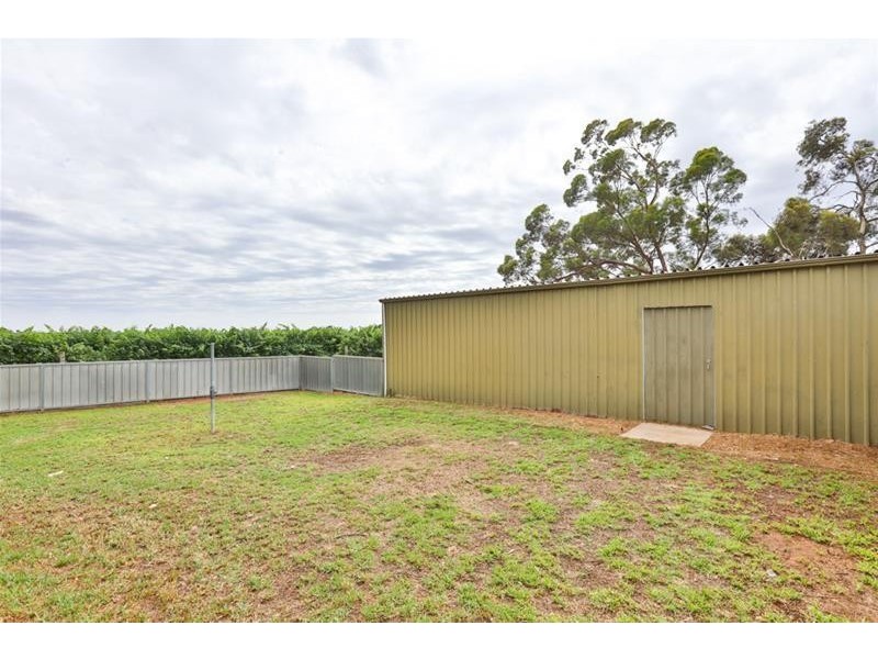 38 Kardinia Road, Dareton NSW 2717