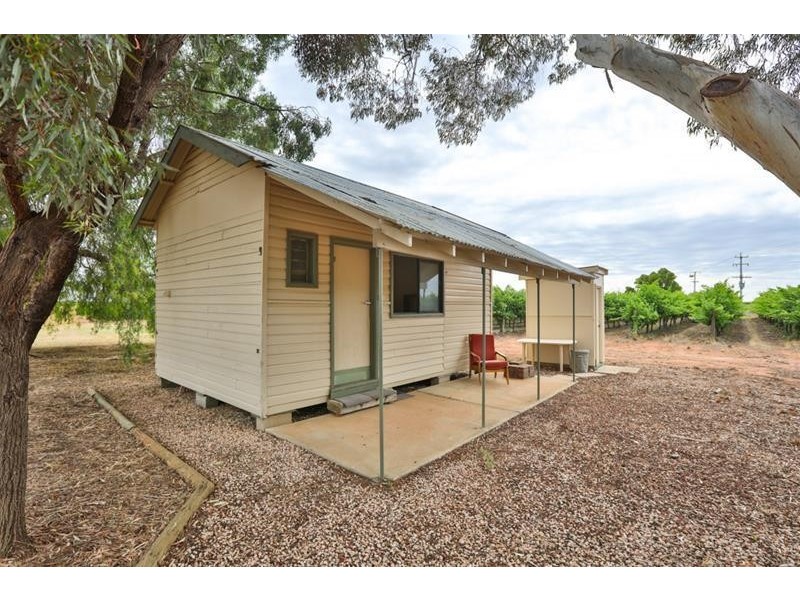 38 Kardinia Road, Dareton NSW 2717