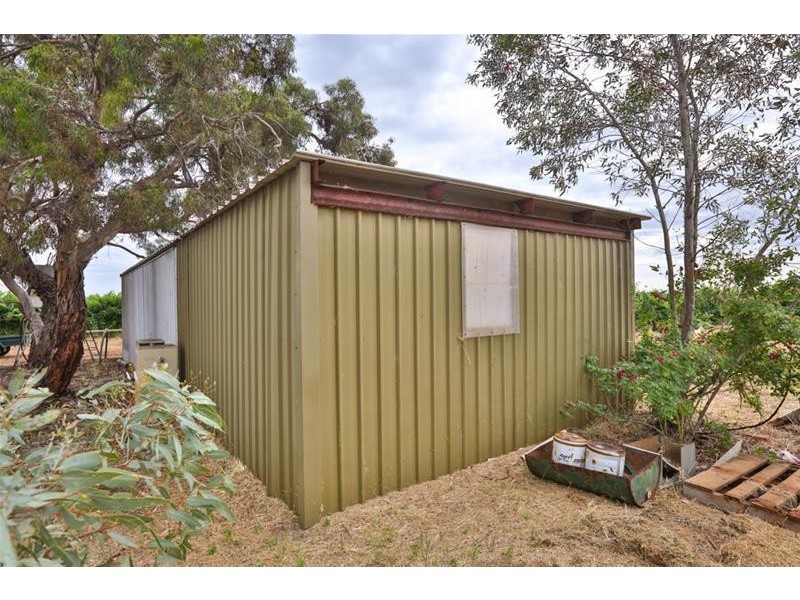 38 Kardinia Road, Dareton NSW 2717