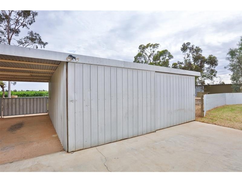 38 Kardinia Road, Dareton NSW 2717