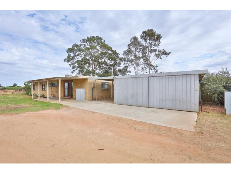 38 Kardinia Road, Dareton NSW 2717