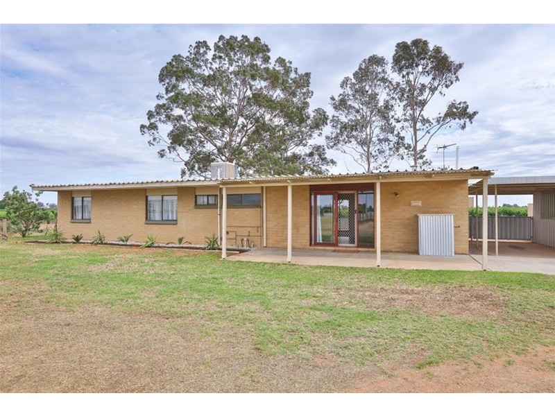 38 Kardinia Road, Dareton NSW 2717