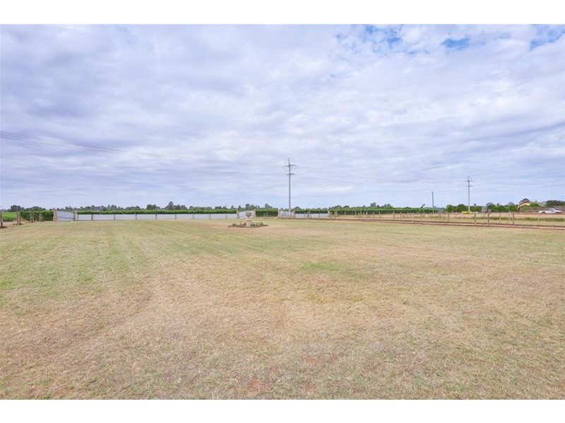 38 Kardinia Road, Dareton NSW 2717