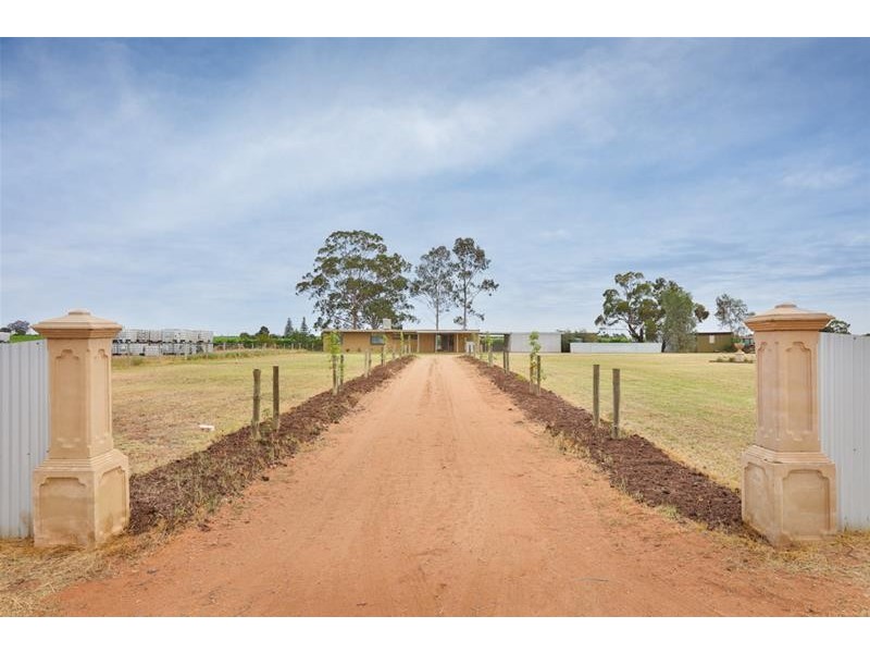 38 Kardinia Road, Dareton NSW 2717