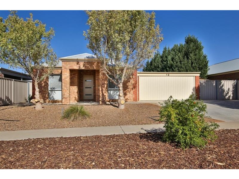 12 Anne Cox Drive, Red Cliffs VIC 3496