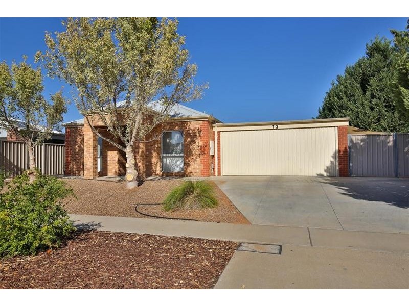 12 Anne Cox Drive, Red Cliffs VIC 3496