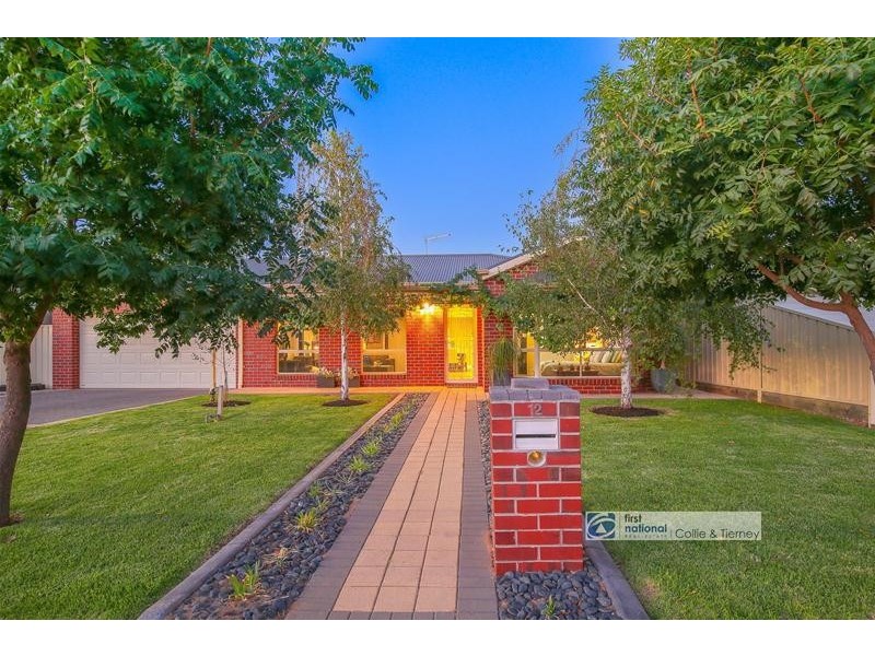 12 Delta Court, Mildura VIC 3500