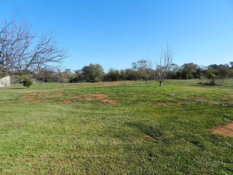 37 Walters Drive, Merbein VIC 3505