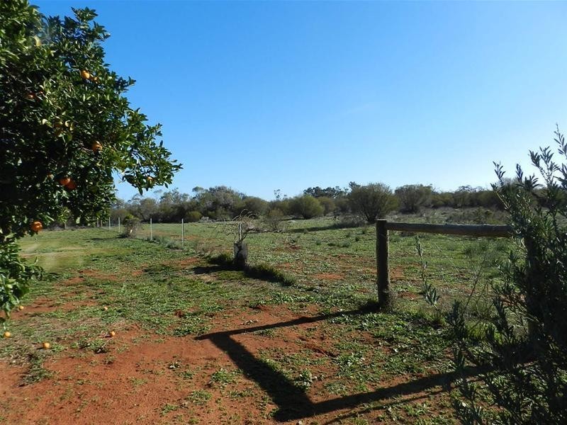 37 Walters Drive, Merbein VIC 3505