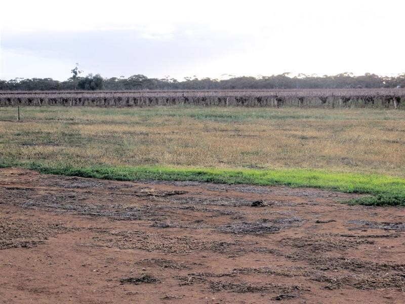 38 Flora Avenue, Cabarita VIC 3505